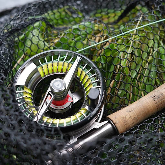 Fly Fishing around Belfast (The Ultimate Guide)