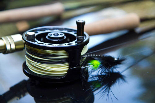 Fly Line: Top-Rated Scandi Lines for Salmon and Steelhead Fishing