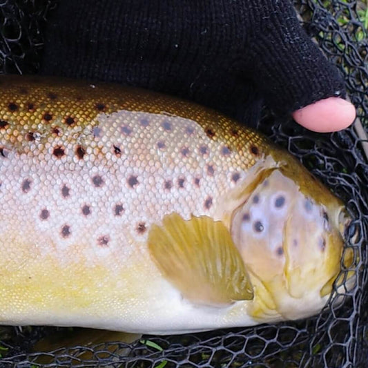 Fly Fishing in England: A Guide To The Best Spots