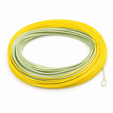 Ussuris Salmon/Steelhead Fly Line