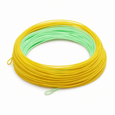 Ussuris Grand Weight Forward Floating Line