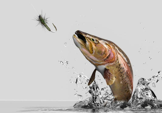 5 Reasons You Keep Losing Fish (+How to Improve)
