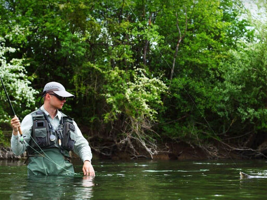 Fly Fishing Grayling (An Angler’s Guide)