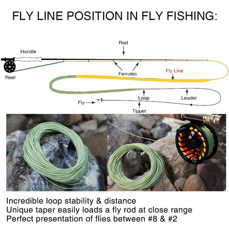 Fly Line Box Fly Line Weight: Essential Guide for Tropical Fishing and Heavy Cover ...
