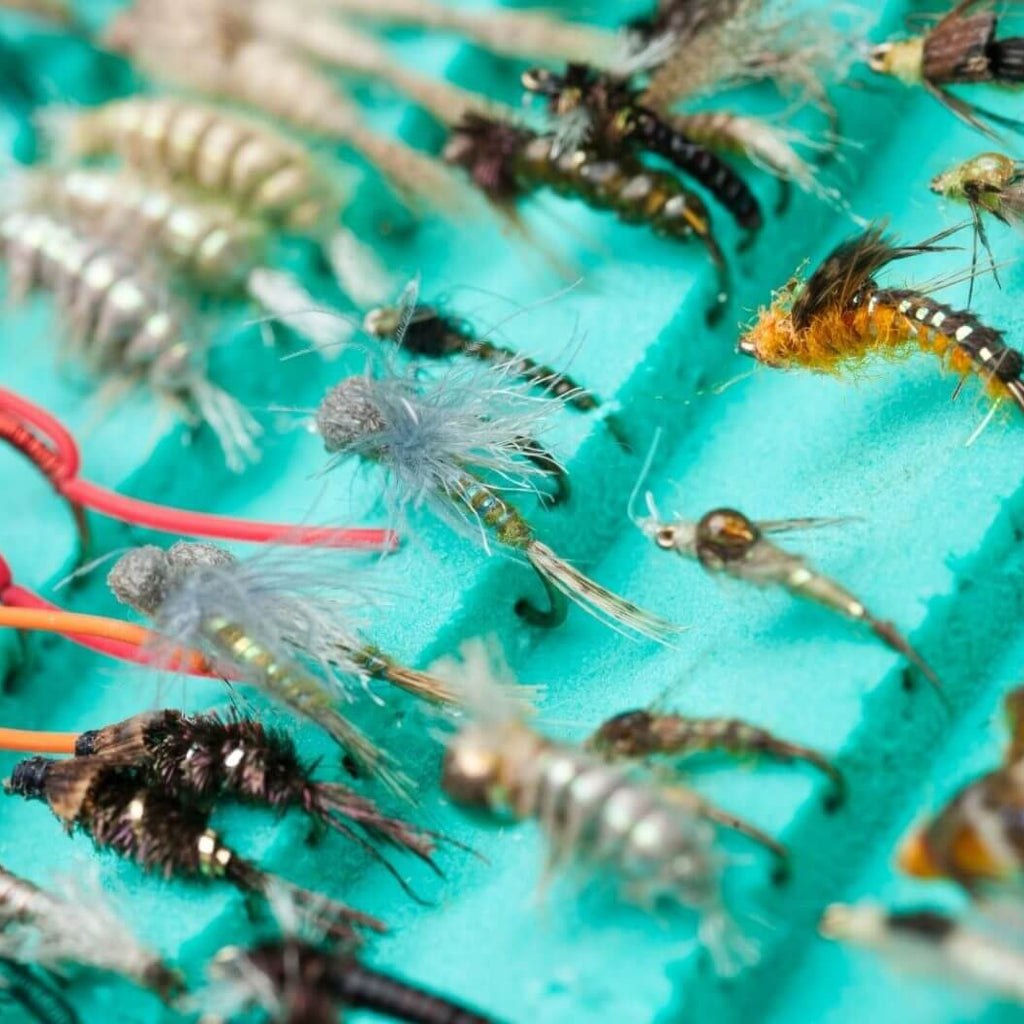 Fly Line Names Fly Line: Understanding Switch Fly Lines and Their Use Cases – Ussuris