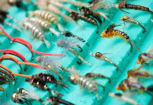 Fly Line: Understanding Switch Fly Lines and Their Use Cases