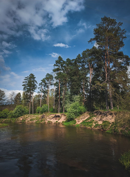 Alpine Streams: A Fly Fisher’s High Altitude Adventure