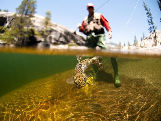 Fly Vest: The Best Mesh Fishing Vests of 2025 and Key Comparisons