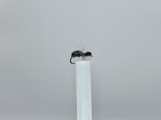 Exploring the Hidden Majesty of Ants