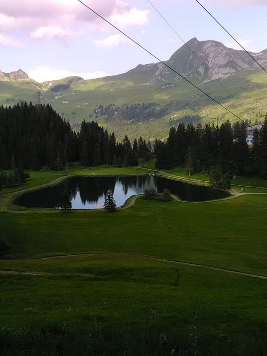 Discovering BachtellachS® Amidst Seeblisee’s Serenity