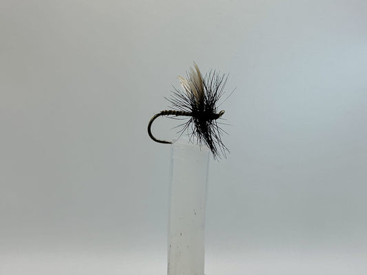 Midnight Fly