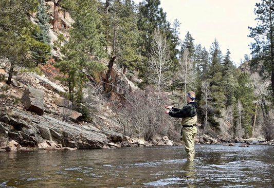 Fly Fishing British Columbia: An Angler’s Guide