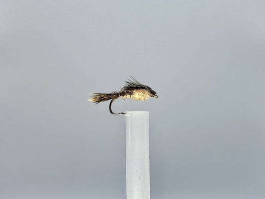 Dark Mayfly Larva