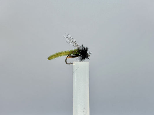 Mystery of the Caddis Larva