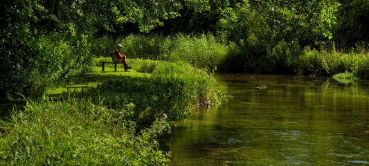 Hidden Gems: Hampshire's Chalkstream Wonders