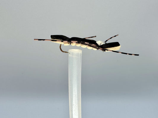 Atomic Aphid: Chernobyl's Insect Enigma