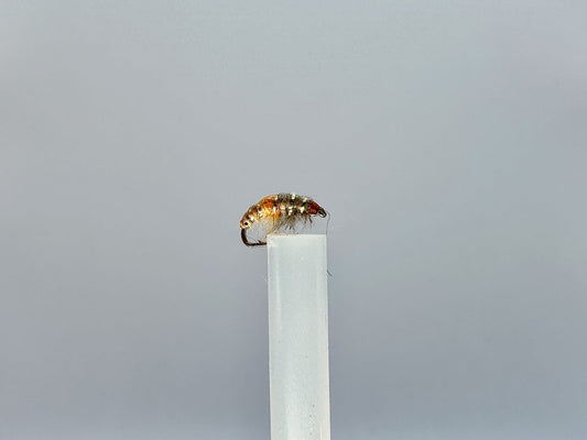 Czech Nymph Fly: A Fresh Perspective