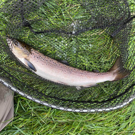 Fly Fishing in Edinburgh