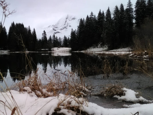 Flyfish Bünti: Redefining Innovation in Motion