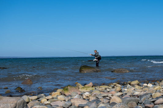 Discovering Funen: Denmark's Hidden Island Gem