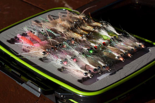 Flies: The Essential Guide to Choosing the Best Fly Fishing Kit and Premium Fly Tying Starter Kits