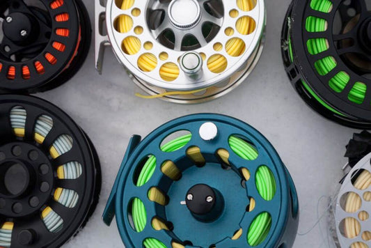 Fly Reel: The Best Options for Saltwater, Trout, Bass, and Salmon Fishing