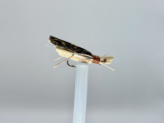 Leap of the Tiny Jumper