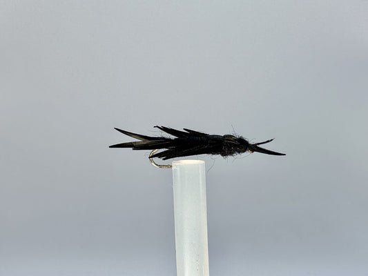 Creepy-Crawly Hellgrammite: Nature’s Underwater Nightmare
