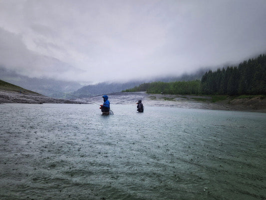 Angling for Salmon in the Hofsá River
