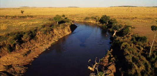Fly Fishing in Kenya: A Guide To The Best Spots (+More)