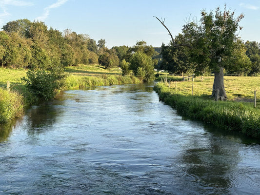 La Saâne: Unveiling the Hidden Charms of a French River