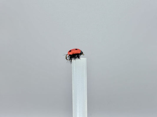 Nature's Tiny Guardian: The Ladybug