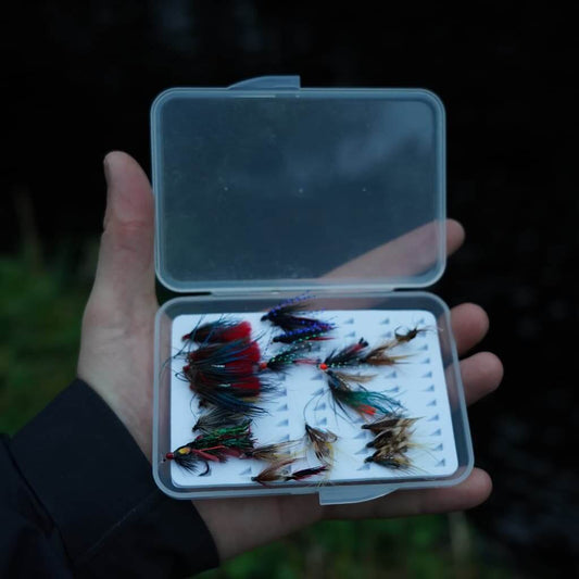 Fly Fishing in North Wales (The Ultimate Guide)