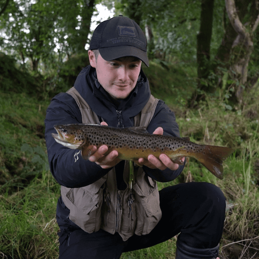 Fly Fishing in Northern Ireland (A Local’s Guide)