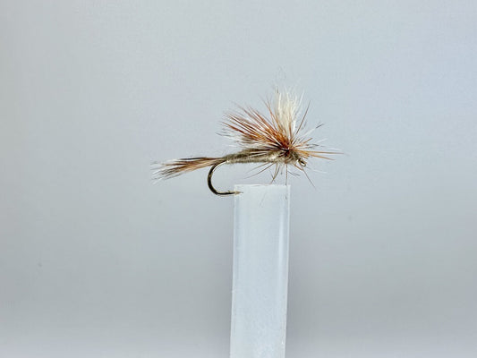 Emerging Perspectives on Adams' Parachute Concept