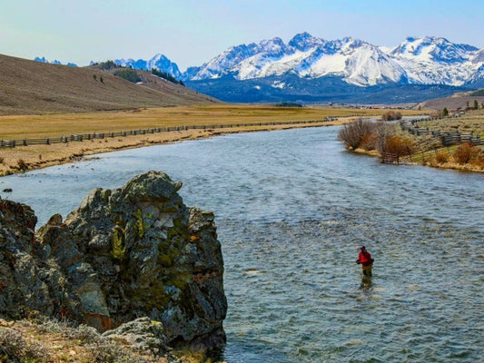 Fly Fishing Salmon (2025 Angler’s Guide)