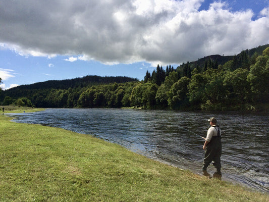 Whispers of the Tay: A Salmon's Journey