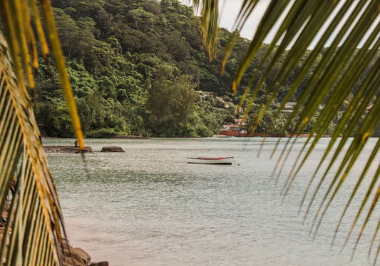 Fly Fishing in Seychelles: Guide’s Tips & Best Spots