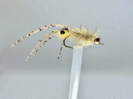 Crisscross Shrimp Motif