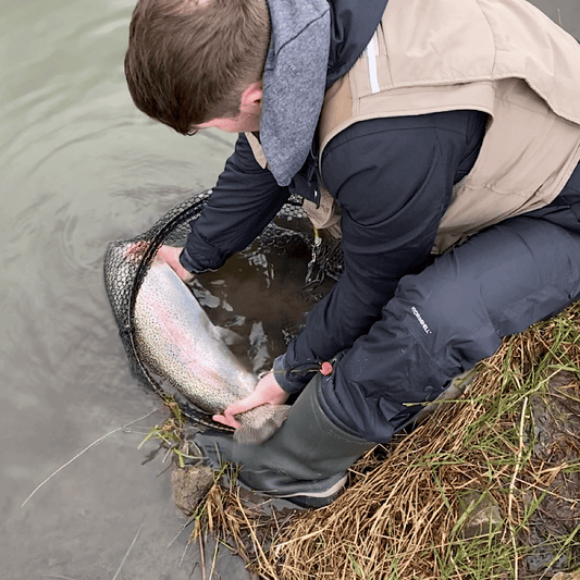 Fly Fishing in South Wales (The Ultimate Guide)