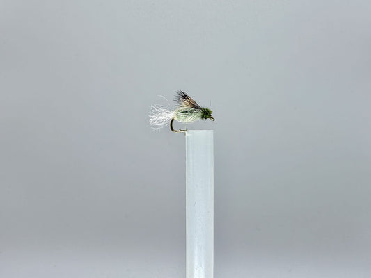 Glistening Metamorphosis