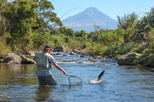 The Heartbeat of Taranaki