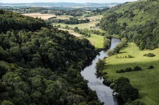 Angling Through Time: The Catskills' Fly Fishing Legacy