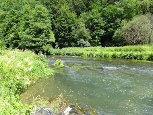 Rhythms of the Wiesent: A River’s Timeless Journey