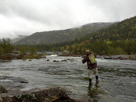 Dijkstra: Redefining Perspective with Mike