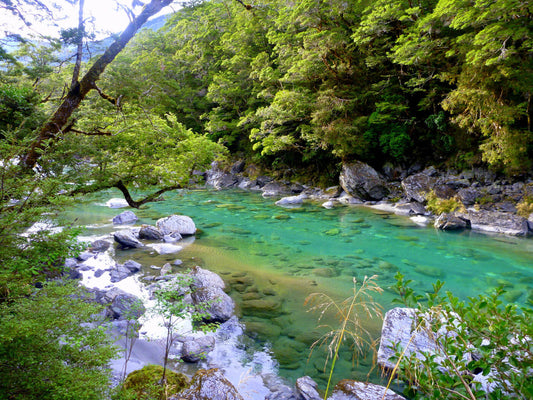 Elevate Your Fly Fishing Ambitions