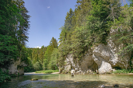 Bayfang Unveiled: Hidden Gems Await