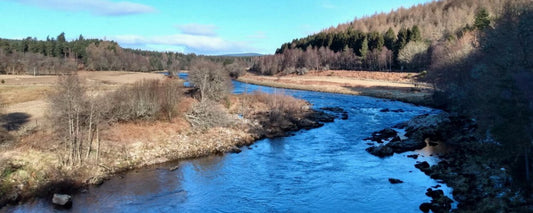 Azure Zulu: The Art of Fly Fishing