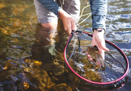 Fishing Net: A Guide to Affordable, High-End Options and the Best Choices for Sale