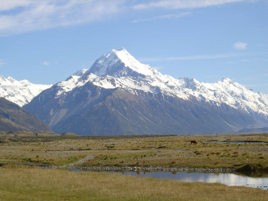 Fly Fishing Adventures in Iceland's Wild Waters